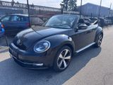 Volkswagen Beetle 2,0 TDI TÜV&Service+Xenon+Leder+17 Zoll - Volkswagen Beetle in Hamburg