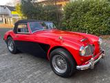 Austin Healey 3000 MK1 komplett restauriert  - Austin Healey: Mk1