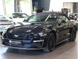 Ford Mustang GT Convertible 5.0 Ti-VCT V8*Navi*Kamera - Ford Mustang in Hamm
