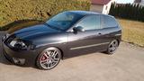 Seat Ibiza 1.8 20V T 132kW Cupra Cupra - Seat Ibiza aus 2007: 1.2