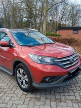 Honda CR-V 2.0 i-VTEC 4WD Executive Automatik Exec... - Honda: Pickup