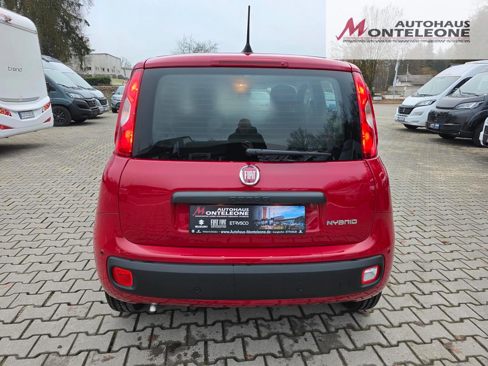 Fiat Panda MY25 Pandina ICON Hybrid | PDC | 5Sitze