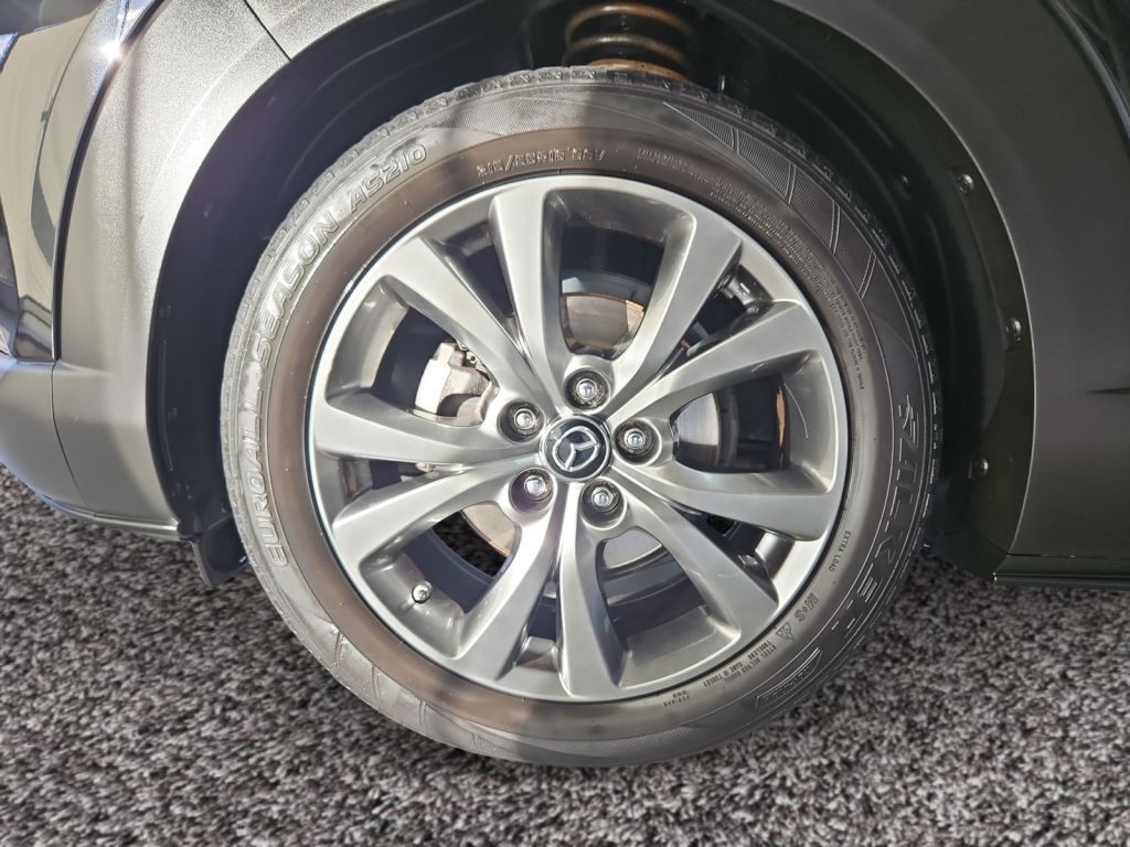 Fahrzeugabbildung Mazda CX-30 SKYACTIV-X 2.0 M-Hybrid SELECTION