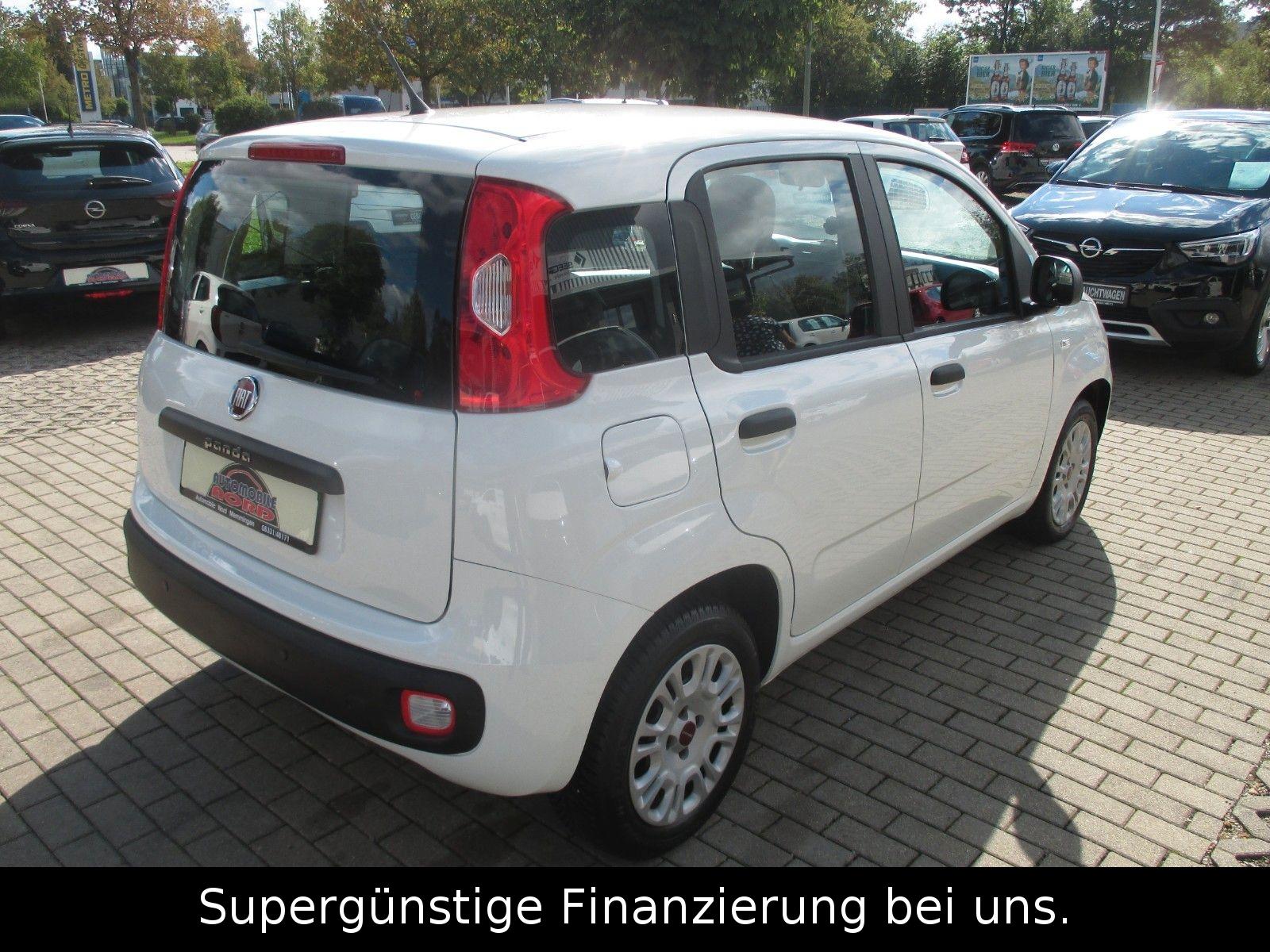 Fiat Panda Easy 1,2. KLIMA,GARANTIE,1-HAND