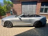 Ford Mustang 2.3 Sitzkühlung LCD Tacho Garantie - Ford Mustang: 2.3