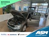 Skoda Kamiq 130 Jahre 1,5TSI DSG*AHK*ACC*LED*R-KAM*PDC