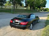 Mercedes-Benz E 250 Cabriolet E 250 CGI BlueEFF. AVANTGARD... - Mercedes-Benz E 250: Cgi
