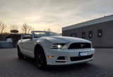 Ford Mustang (Facelift) 3,7l V6  - Ford Mustang in Köln
