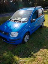 Fiat Panda 1.2 8V TÜV Neu Ganzjahresreifen Neu - gebrauchte Fiat Panda aus dem Jahr 2006