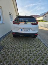 Honda CR-V 2.0 i-MMD Hybrid AWD Sport Line eCVT Sp... - Honda CR-V awd Gebrauchtwagen