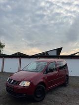 Volkswagen Caddy 1.6 Eco Fuel Life 2010 - Volkswagen: Eco Fuel