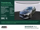 Skoda Octavia Combi Scout 4x4 2,0 TDI DSG Navi ACC HUD - Skoda Octavia: Scout TDI