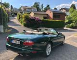 Jaguar XK8 Cabriolet -Racing Green 4.2L Vollausstattung - : Racing