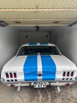 Ford Mustang - gebrauchte Ford Mustang aus dem Jahr 1967