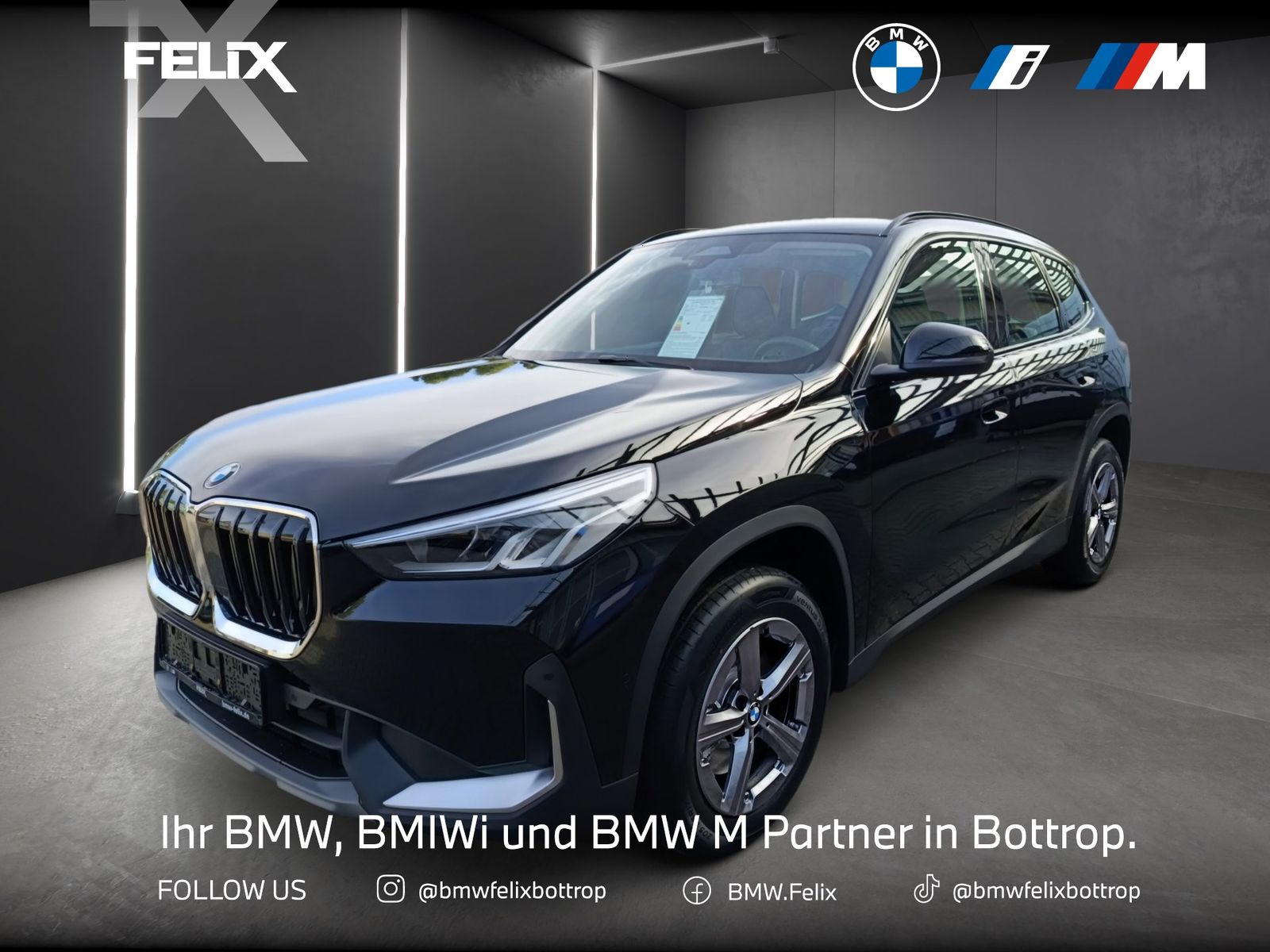 BMW X1 sDrive20i DRIVING+PARKING-ASS.+STEPTRONIC+LM+