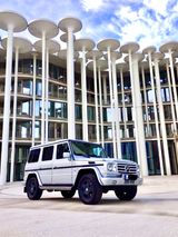Mercedes-Benz G 320 CDI / G 350 CDI 224 PS Vollaustattung - Mercedes-Benz G 320 aus 2009: Cdi