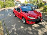 Peugeot 206 CC Cabrio 2.0 - gebrauchte Peugeot 206 aus dem Jahr 2001