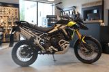 Triumph TIGER 900 RALLY PRO*AKTION 900 €* NEUE FARBE*