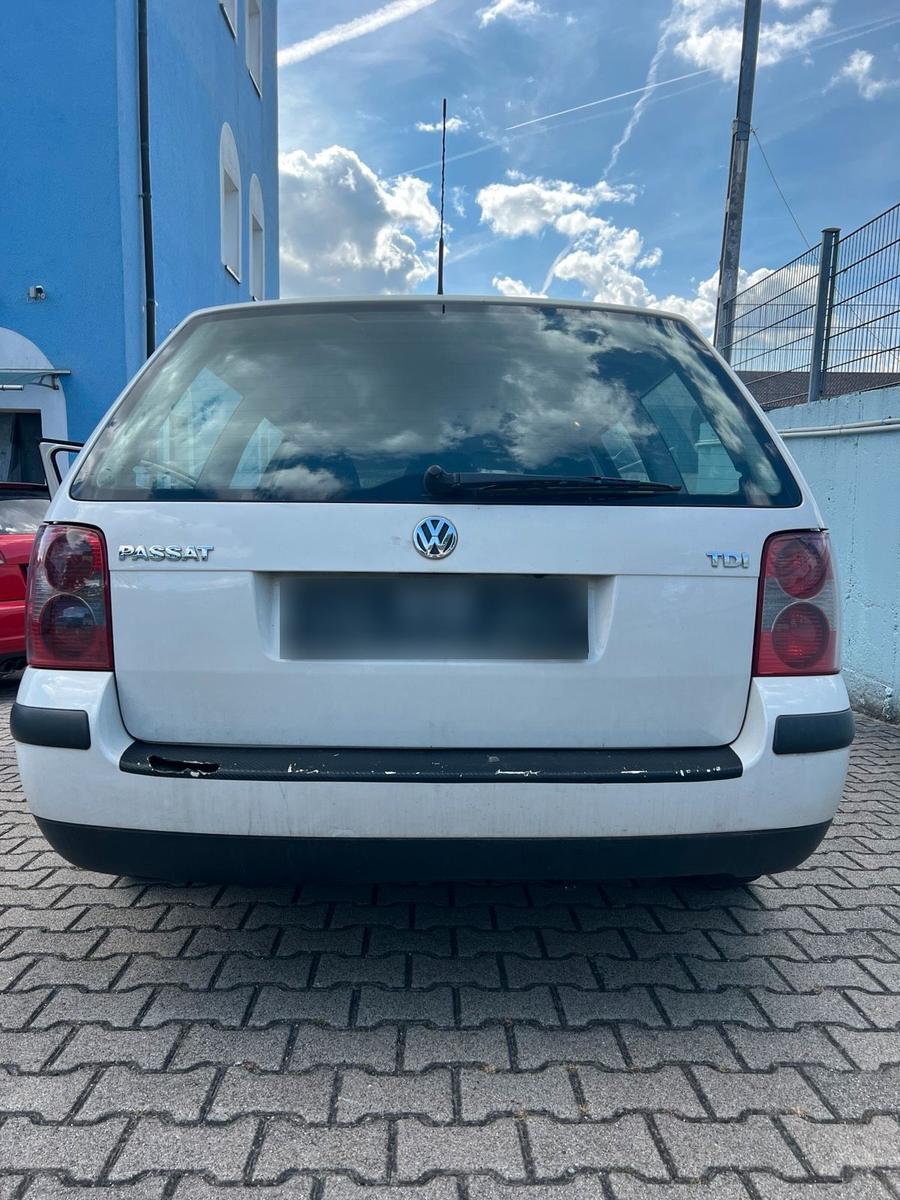 Volkswagen Passat 2005 — вигляд ззаду