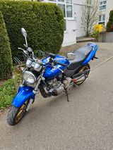 Honda HORNET  CB 600 - HONDA 2000 HORNET 600