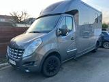 Renault STX Renault Master 2 Pferden   - Tier- & Pferdetransport für 2 Pferde