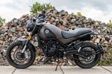 Benelli BENELLI LEONCINO 500 TRAIL  48 PS für A2 - BENELLI GEBRAUCHT