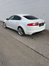 Jaguar XF Limousine 2.0 Merridian Surround 20Zoll Leder - Jaguar XF mit Benzin-Antrieb