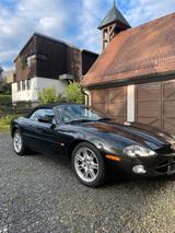 Jaguar XK8 Cabriolet - Neuer Steuerkettensatz - Jaguar XK8 mit 3 Türen
