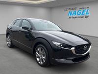 Mazda CX-30 - Vorschau Bild 3