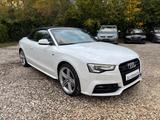 Audi A5 Cabriolet 3.0 TDI quattro*Standheizung*AHK* - Audi: Weiß, Cabrio