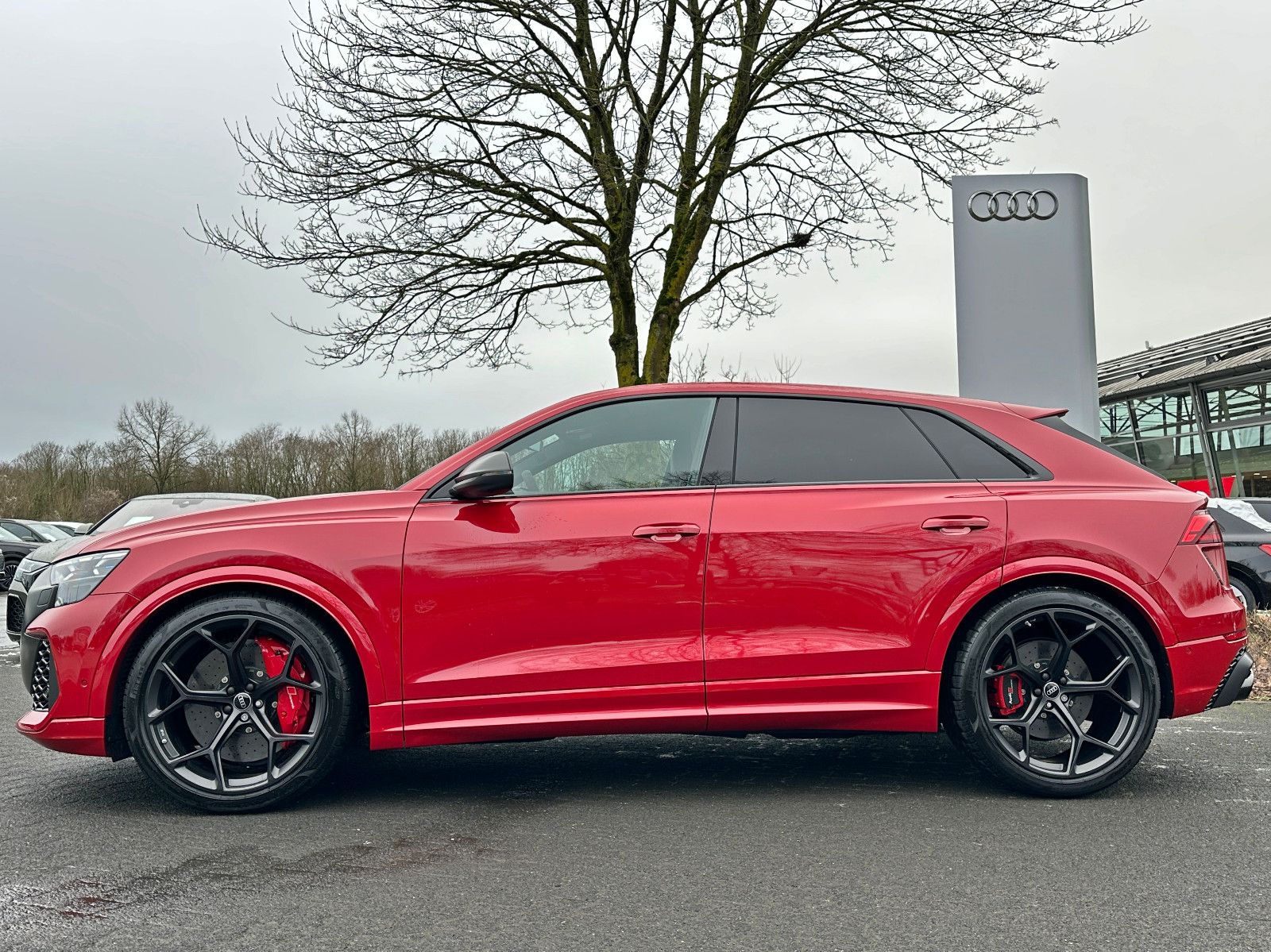 Audi RSQ8 - Bild 4