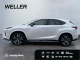 Lexus NX 300h Style Edition *Bi-LED*CAM*SHZ*PDC*CarPla - Lexus Gebrauchtwagen in Stuttgart