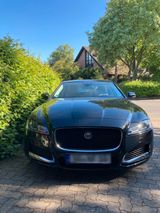 Jaguar XF 2.0 Diesel AWD - Jaguar XF mit Diesel-Antrieb: 2.0