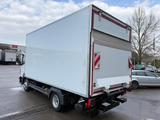 Mercedes-Benz Atego 818 BL LBW ThermoKing V500MAX50 Trennwand - Mercedes-Benz Autokran