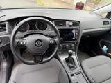 Volkswagen Golf 1.0 TSI Comfortline 59.000 km - gepflegt - Volkswagen Golf: 5.0