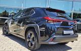 Lexus UX 250h Launch Edition - Lexus aus 2019
