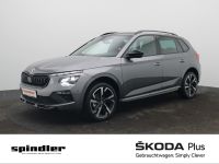 Skoda Kamiq - Vorschau Bild 1