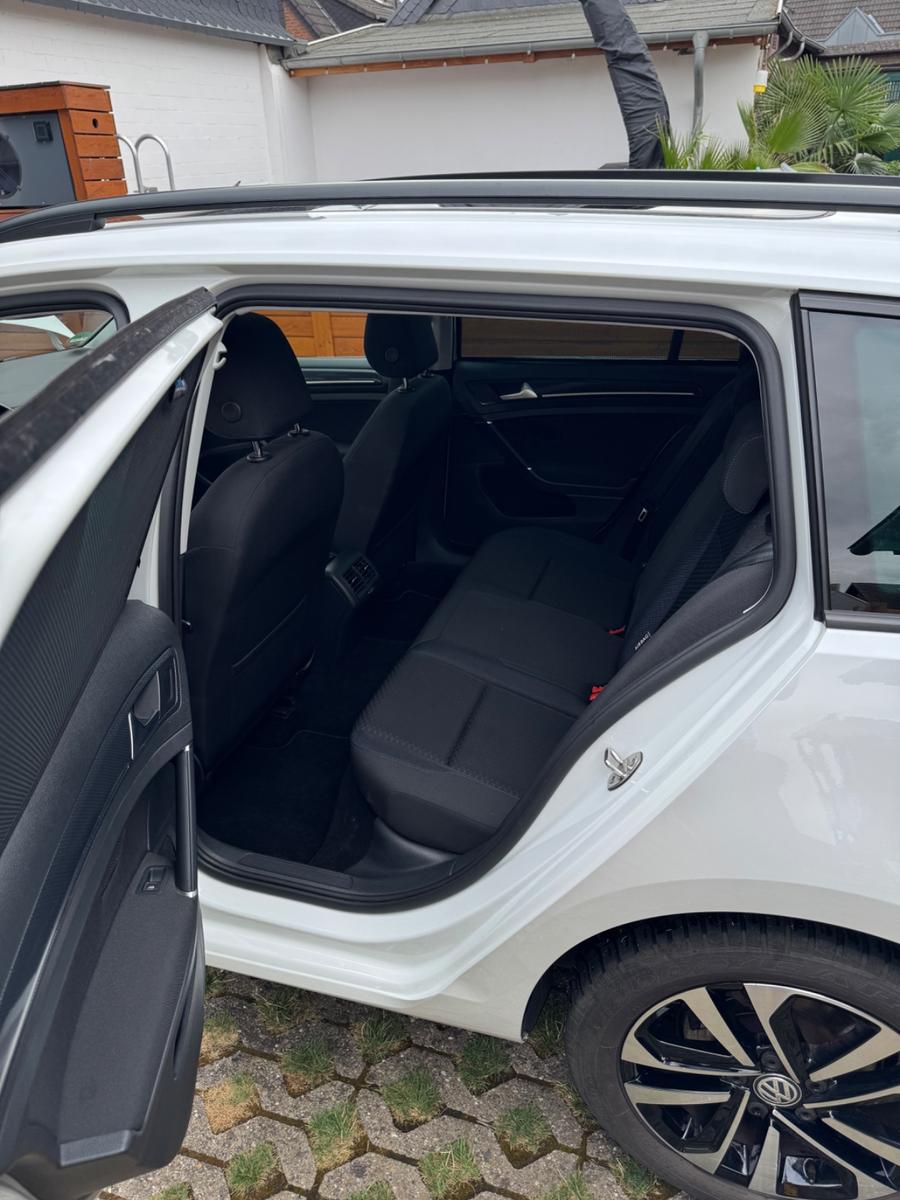 Volkswagen Golf UNITED Variant / Pano. / AHK / Allwetter, миниатюра 9