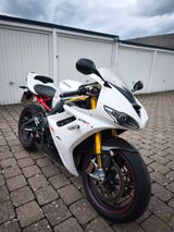 Triumph Daytona 675R  - TRIUMPH 675 DAYTONA
