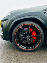 Lamborghini Urus Lim. Graphite Capsule MATT / Gar. /mit MwSt - Lamborghini in Dortmund