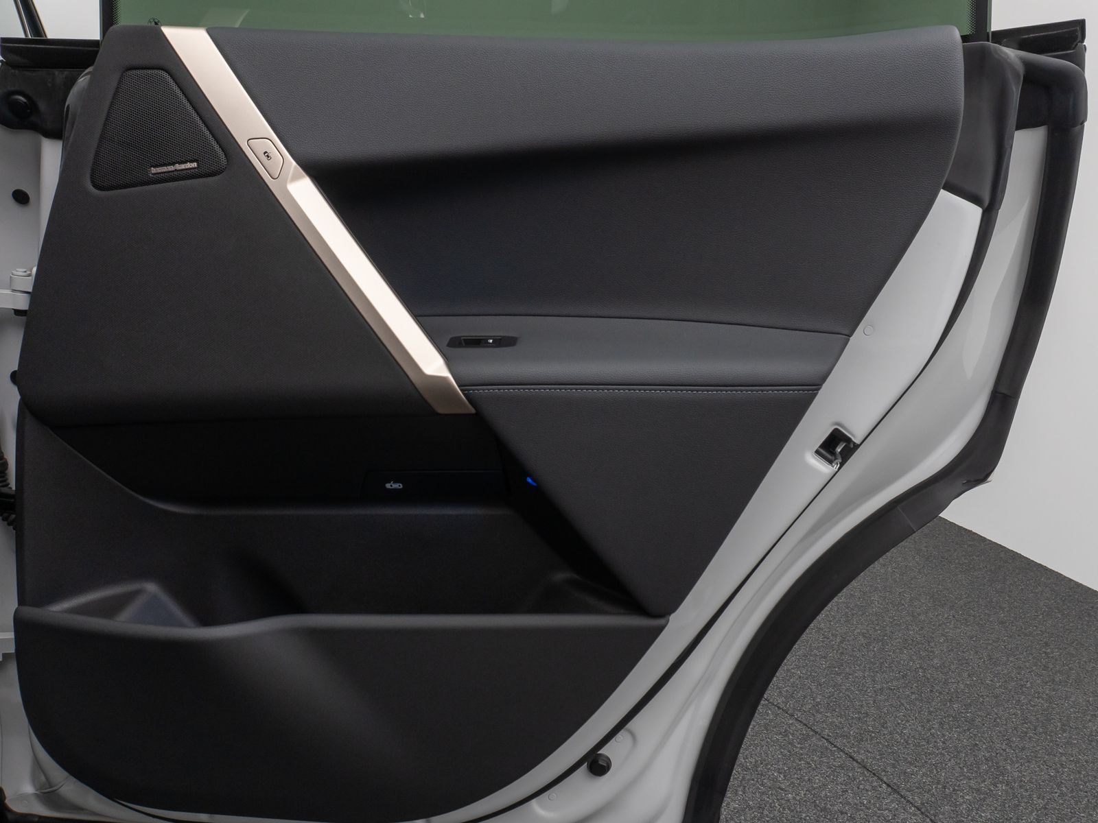 Fahrzeugabbildung BMW iX xD40 Sport SkyLounge 360°DAB H/K AHK 22Zoll
