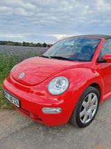 Volkswagen New Beetle 1.9TDI Cabriolet Standard - Volkswagen New Beetle: Standard