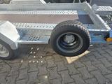 Brian James CarGO Digger Plant 543-3717-35-2-12 - Offers