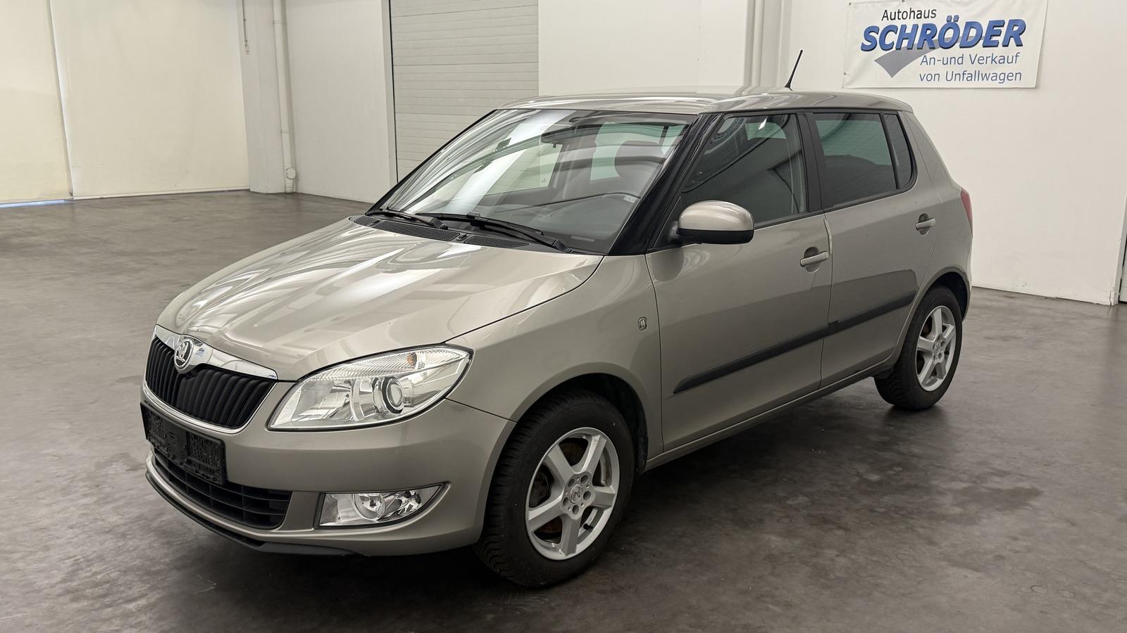 Skoda Fabia 1.2 TSI Fresh DSG *SHZ*Klimaaut.*