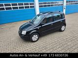Fiat Panda 1.2 8V Dynamic.Panoramadach - Fiat Panda Gebrauchtwagen in Aachen