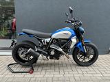 Ducati Scrambler Icon 800 Sparking Blue matt - DUCATI 800