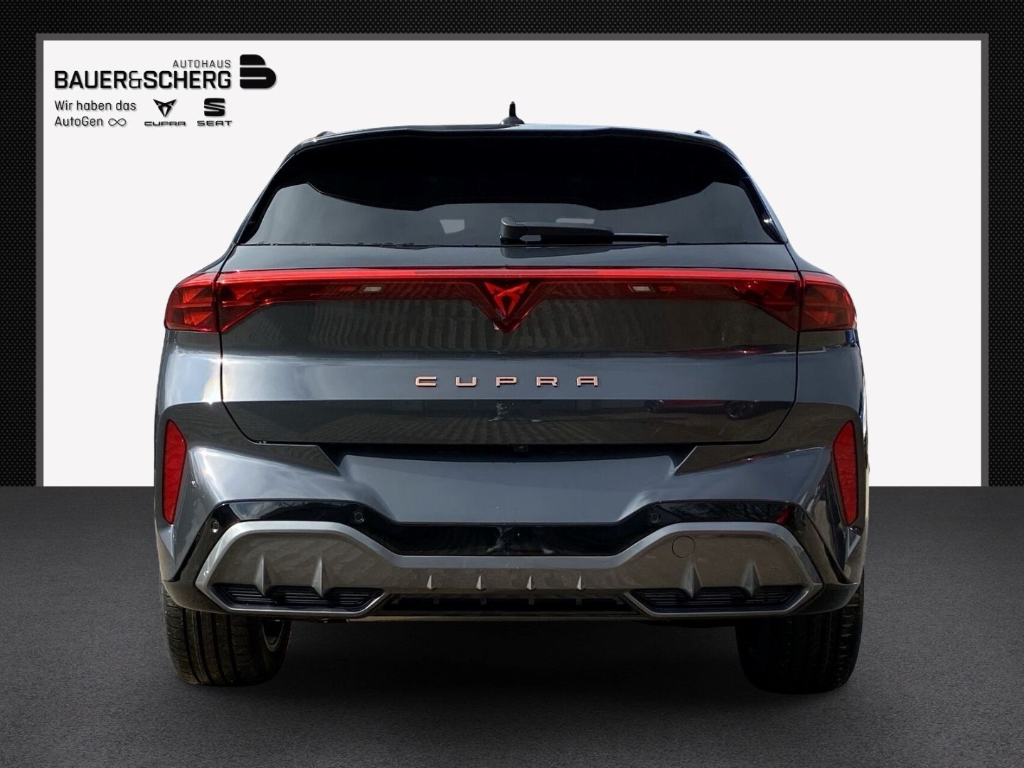 Cupra Terramar - Bild 4