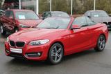 BMW 218i Sport Line HiFi Xenon USB - Roadster bis 25.000 Euro
