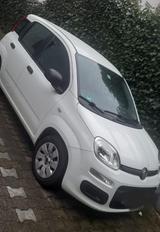 Fiat Panda - Fiat Panda Gebrauchtwagen in Bochum
