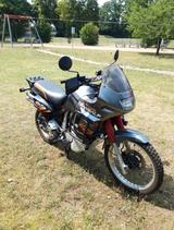 Honda XL 600 Transalp - Angebote entsprechen deinen Suchkriterien